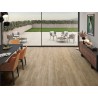 Gres  porcellanato effetto legno Fjord cm 20x120