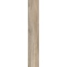 Gres porcellanato effetto legno naturale spina italiana tipo parquet